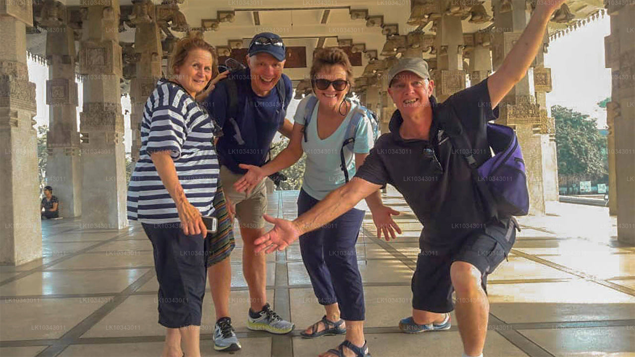 Wonder Island (3 Dage)