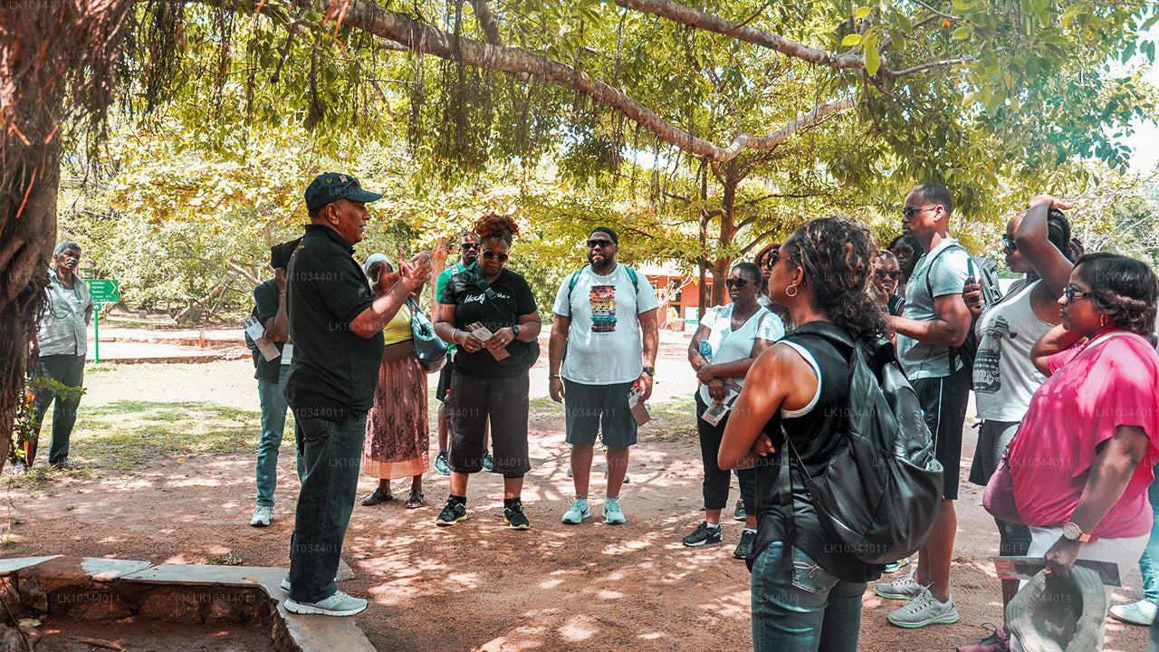 The Paradise Island (3 Dage)