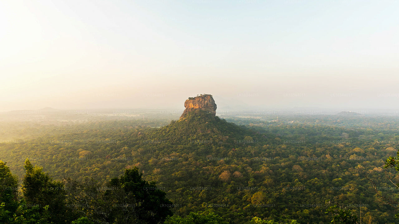 The Paradise Island (3 Dage)