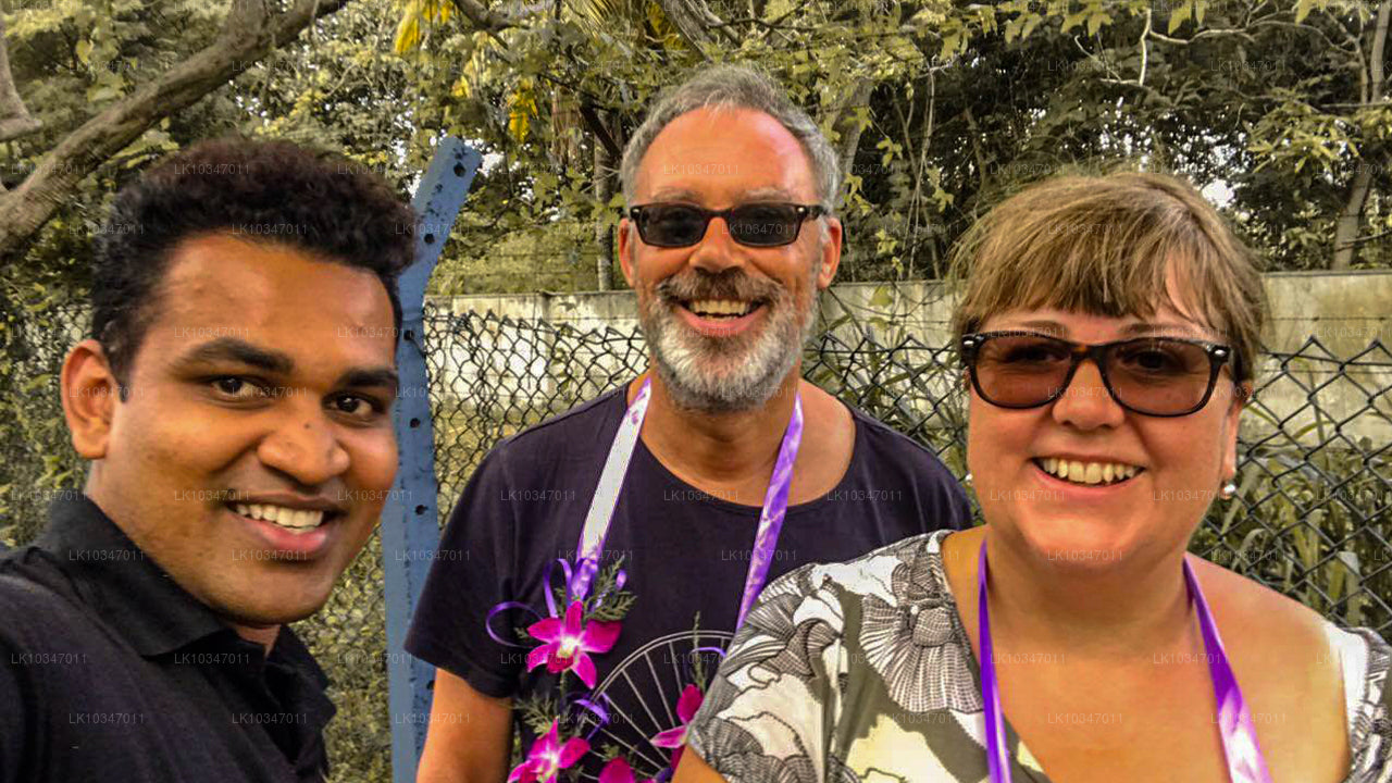 Sacred City of Anuradhapura fra Colombo (3 Dage)