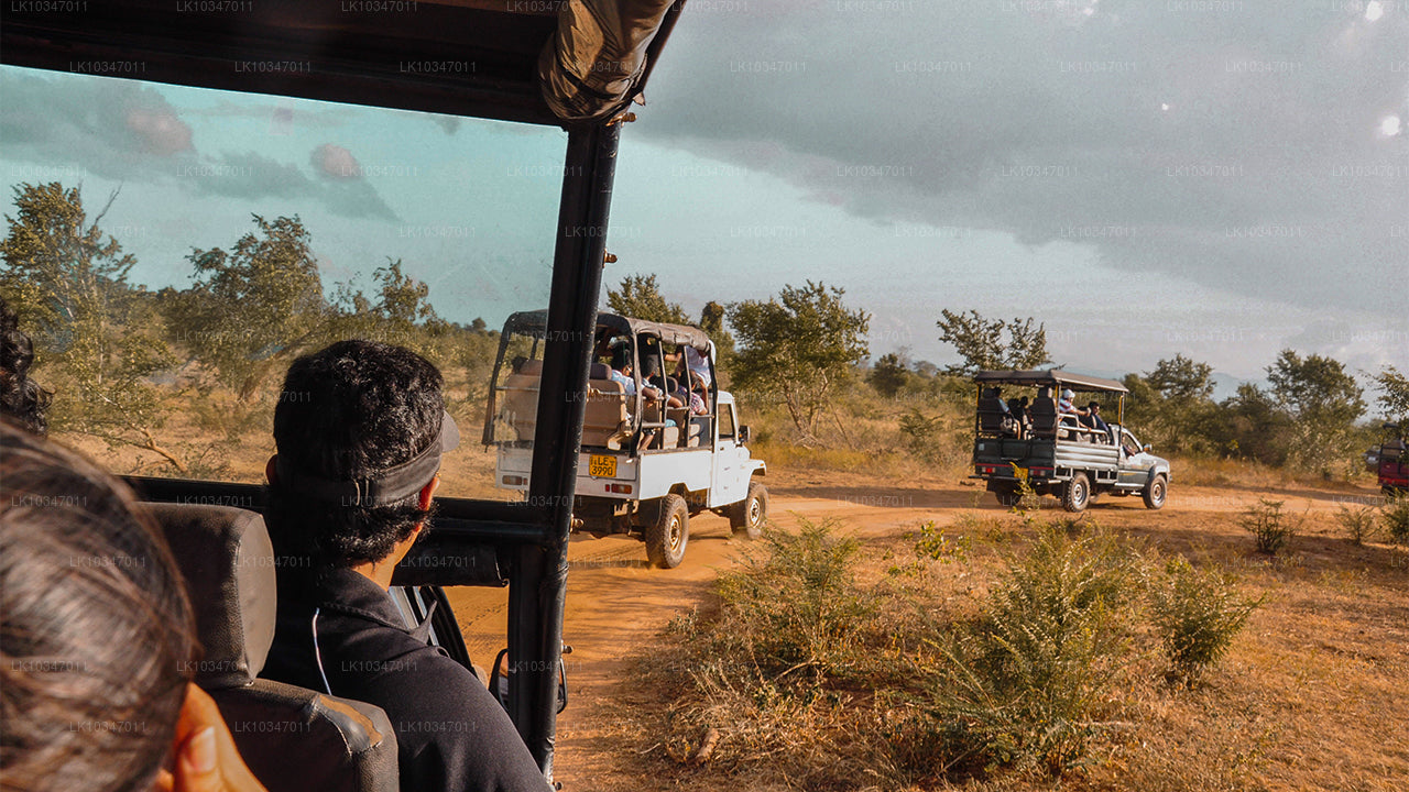 Sacred City of Anuradhapura fra Colombo (3 Dage)