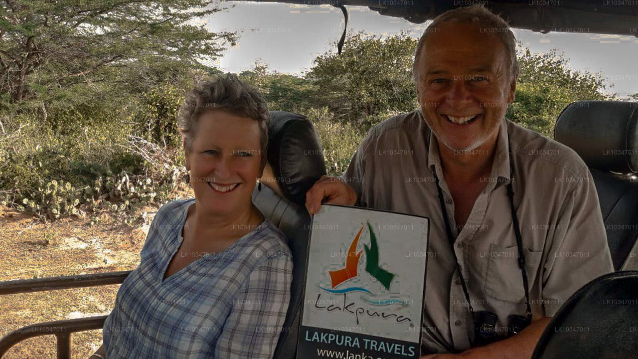 Sacred City of Anuradhapura fra Colombo (3 Dage)