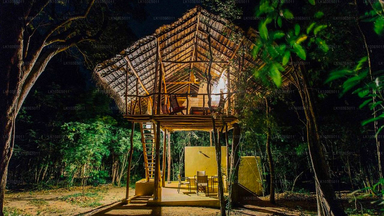 Eco Tours i Sri Lanka (3 Dage)