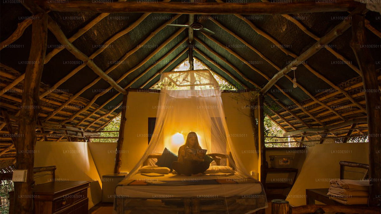 Eco Tours i Sri Lanka (3 Dage)