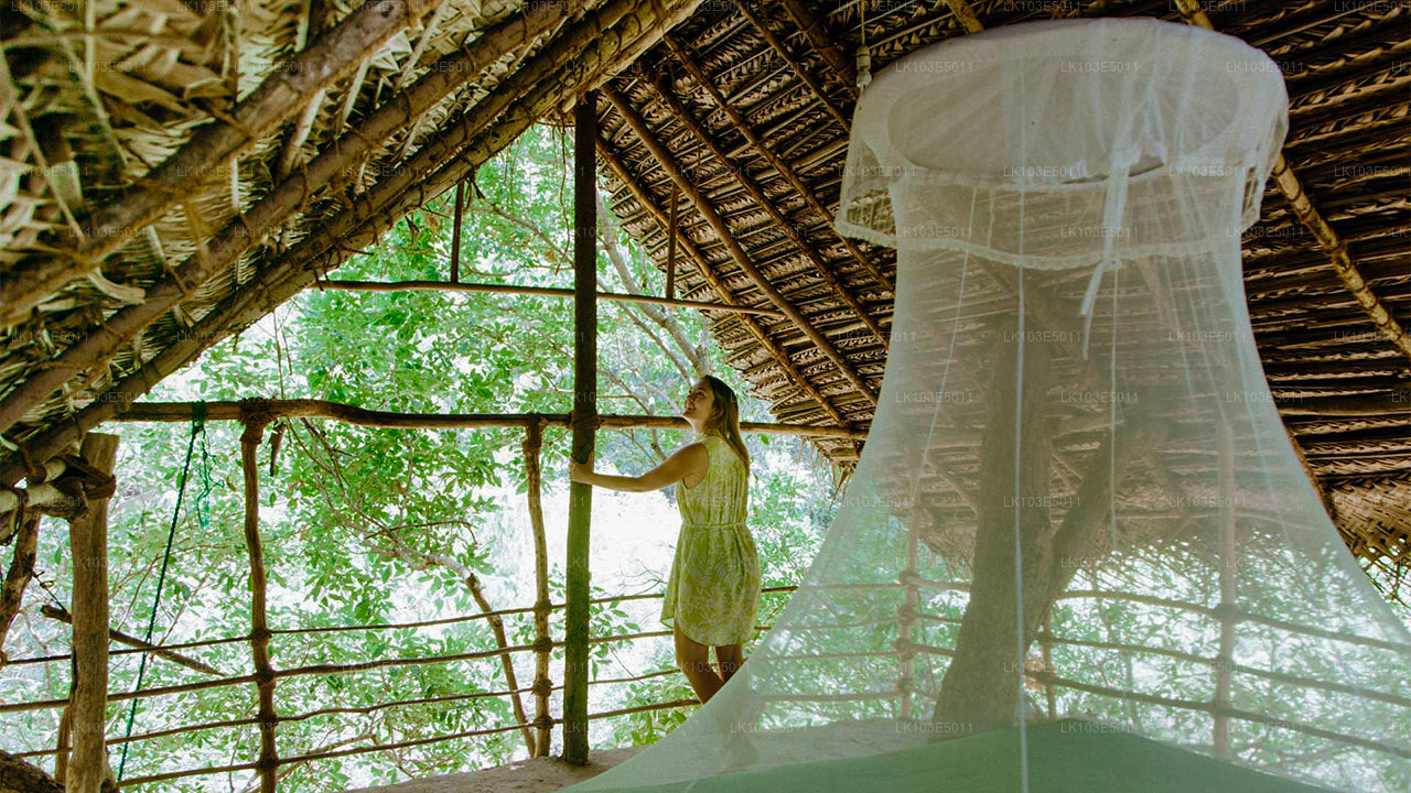 Eco Tours i Sri Lanka (3 Dage)