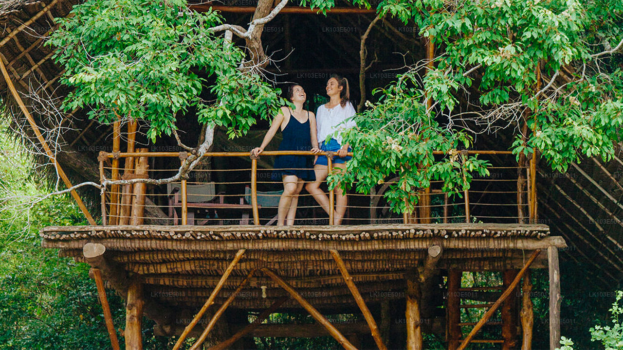 Eco Tours i Sri Lanka (3 Dage)