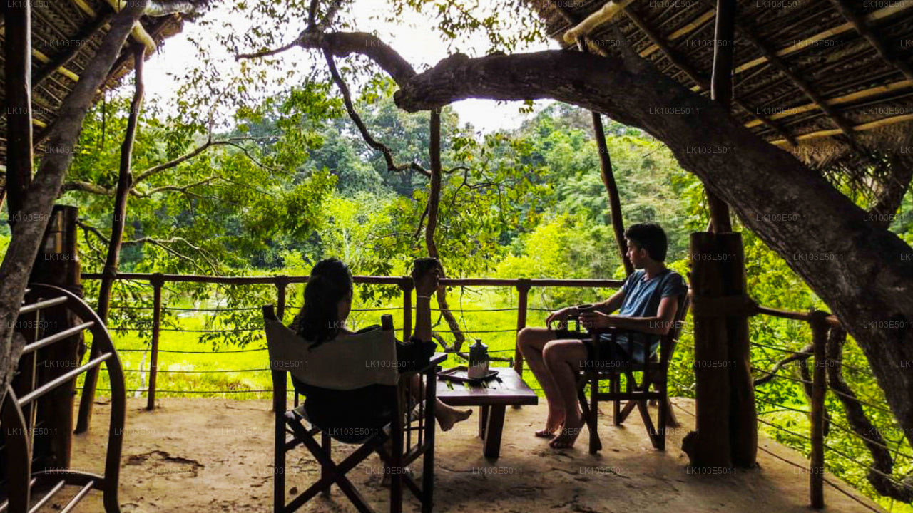 Eco Tours i Sri Lanka (3 Dage)