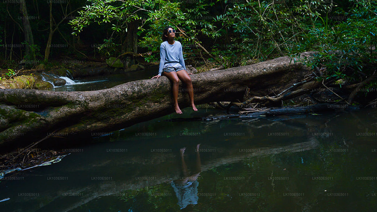 Eco Tours i Sri Lanka (3 Dage)