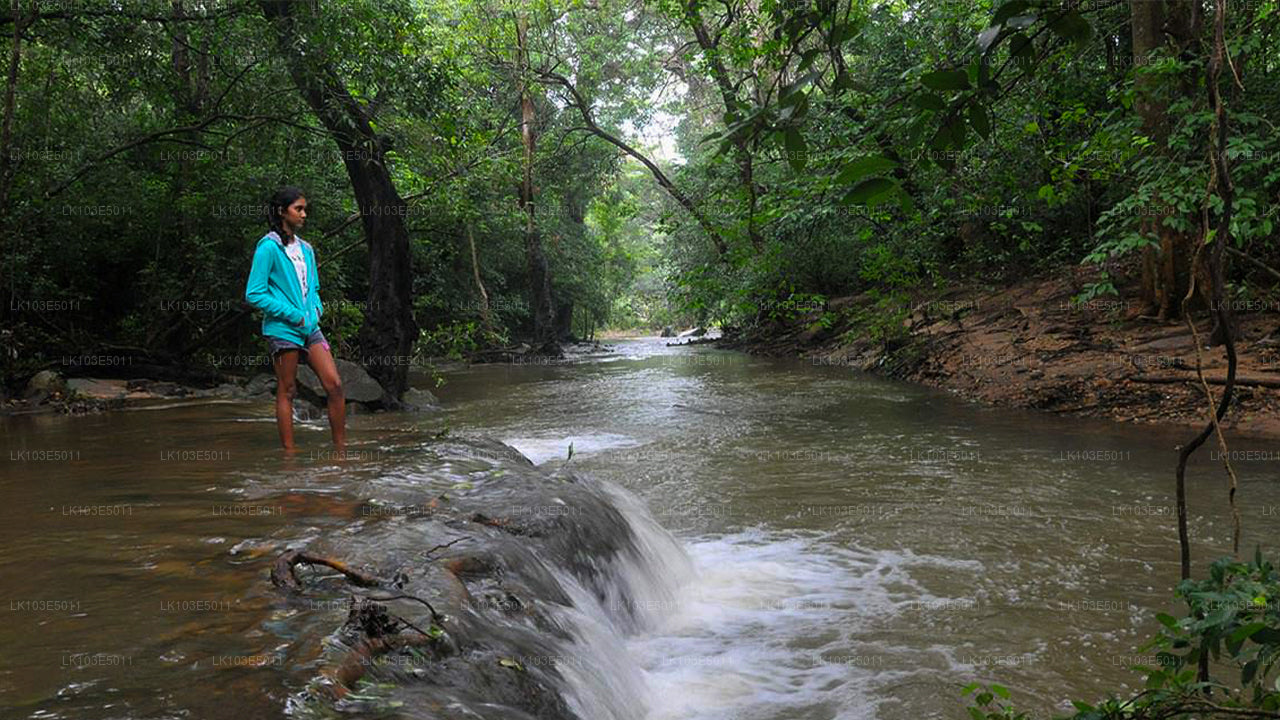 Eco Tours i Sri Lanka (3 Dage)