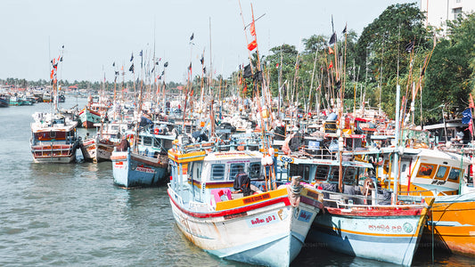 Strand og byen (4 dage)