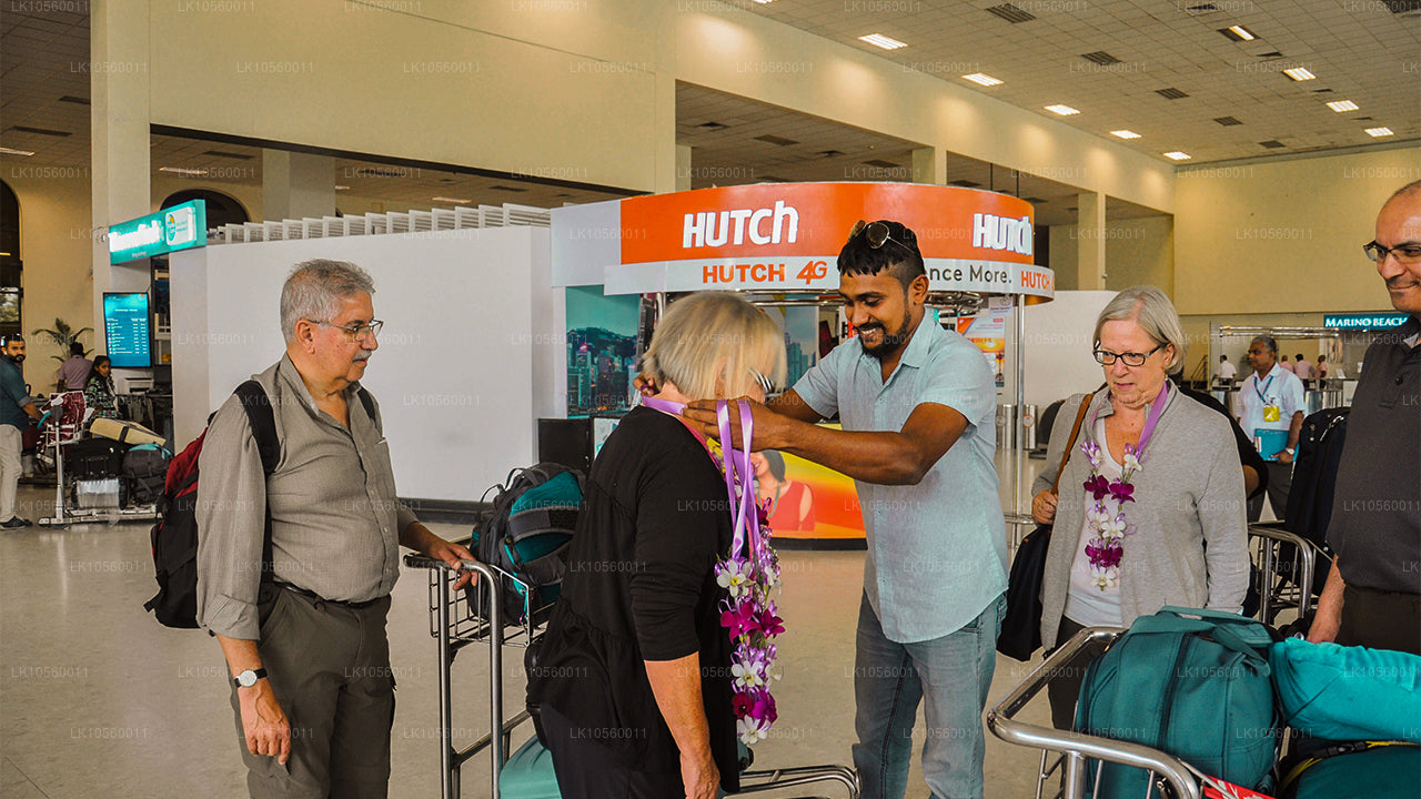 Sydens kystbælte (5 dage)