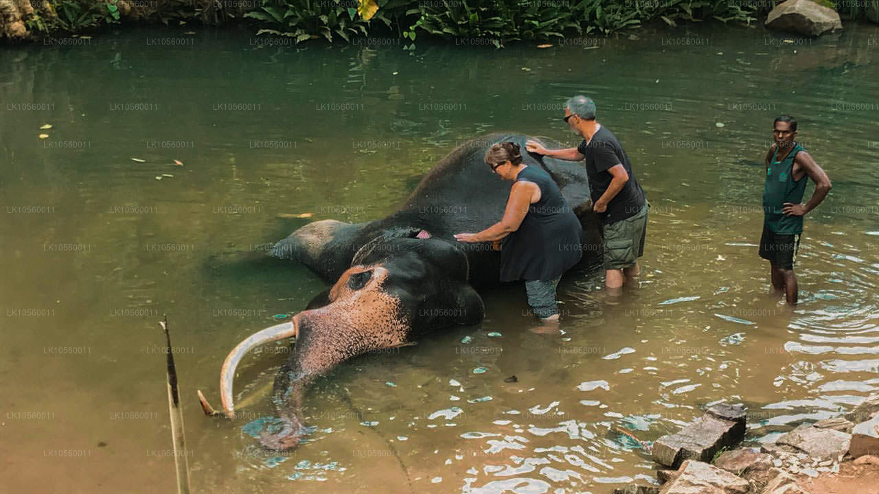 Sydens kystbælte (5 dage)