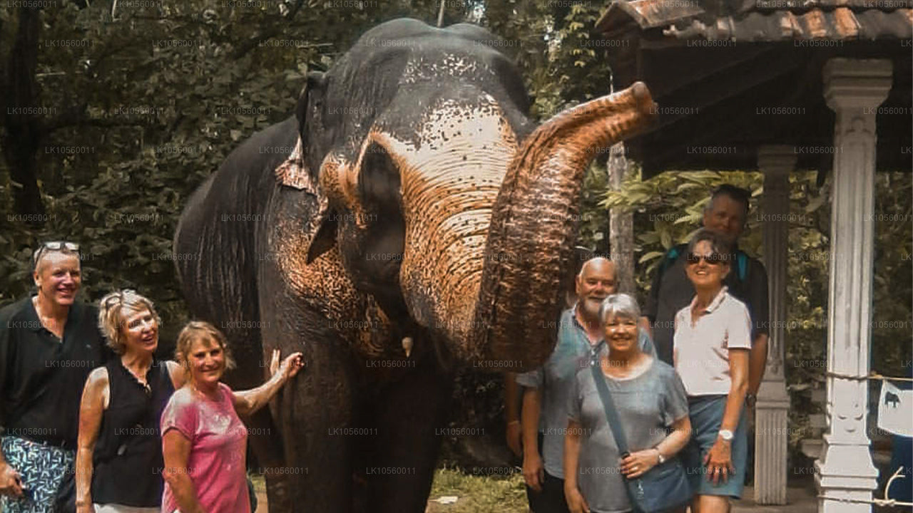 Sydens kystbælte (5 dage)