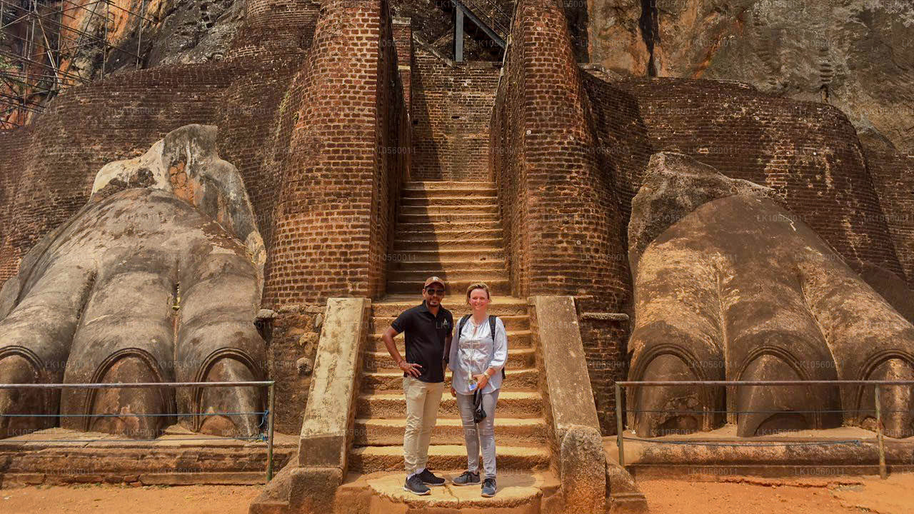 Sydens kystbælte (5 dage)