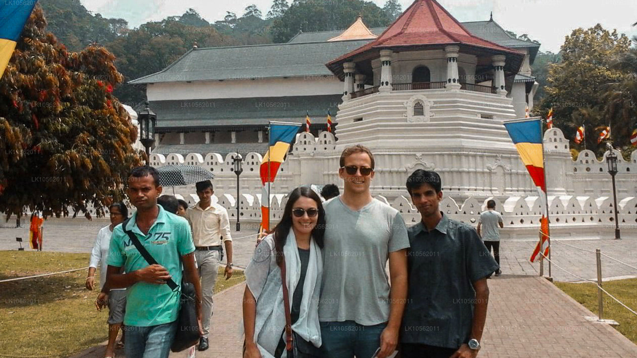 Glimt af Sri Lanka (5 dage)