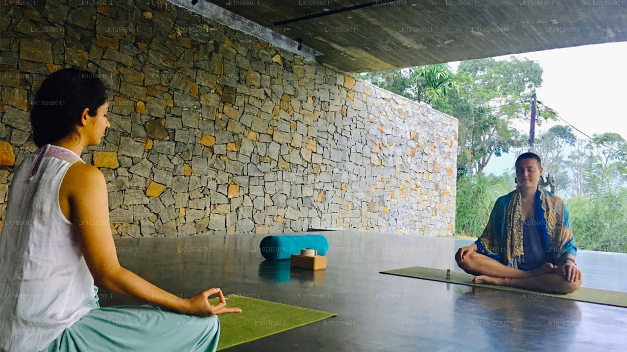 Meditation og Yoga Tour (5 Dage)