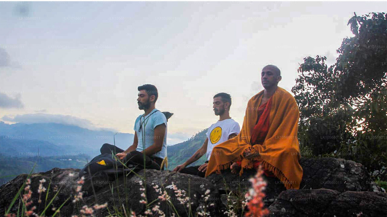 Meditation og Yoga Tour (5 Dage)