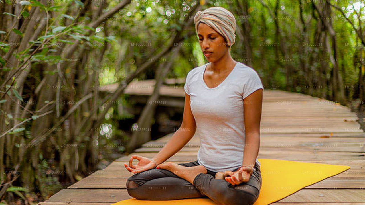 Meditation og Yoga Tour (5 Dage)