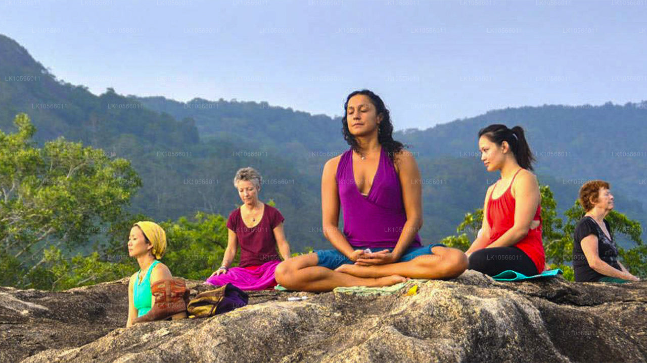 Meditation og Yoga Tour (5 Dage)