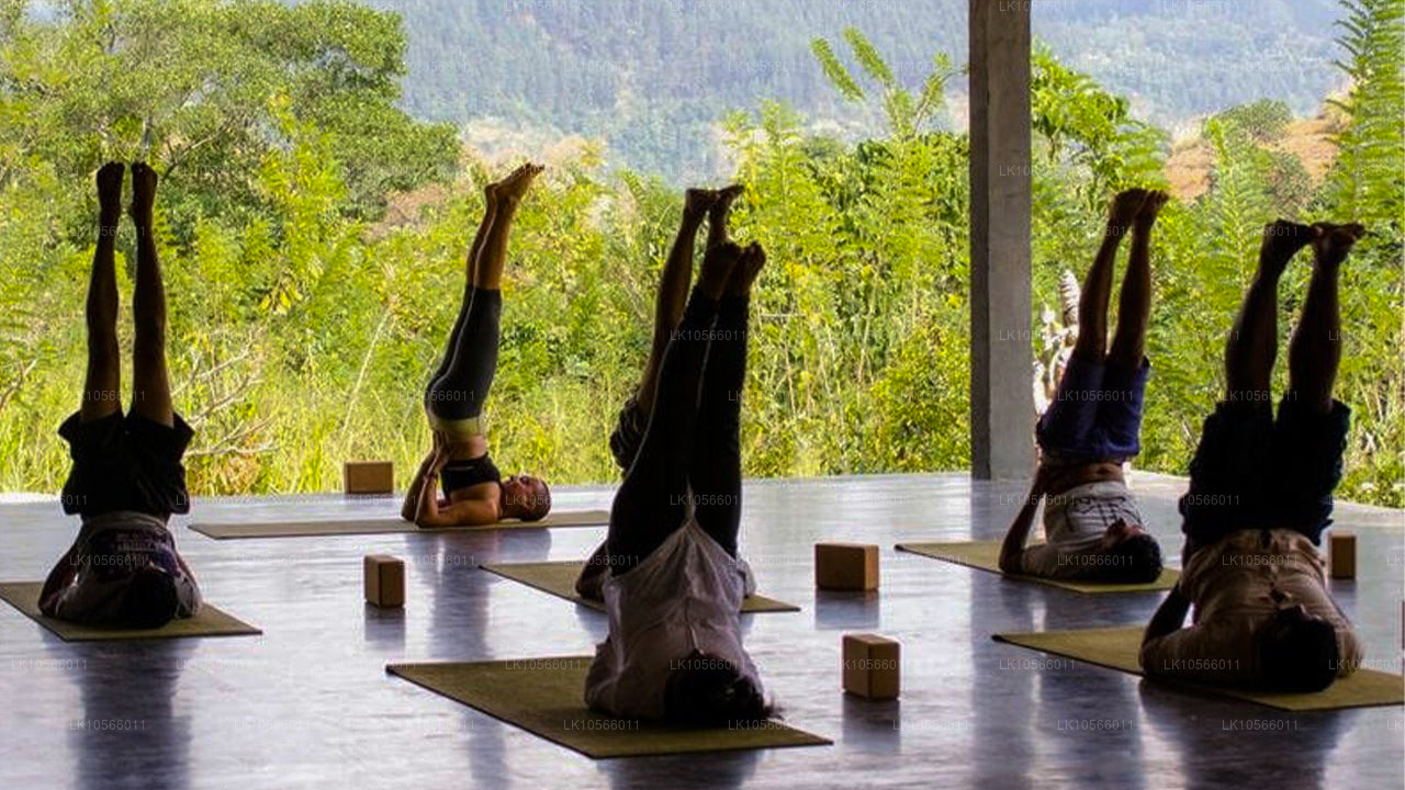 Meditation og Yoga Tour (5 Dage)