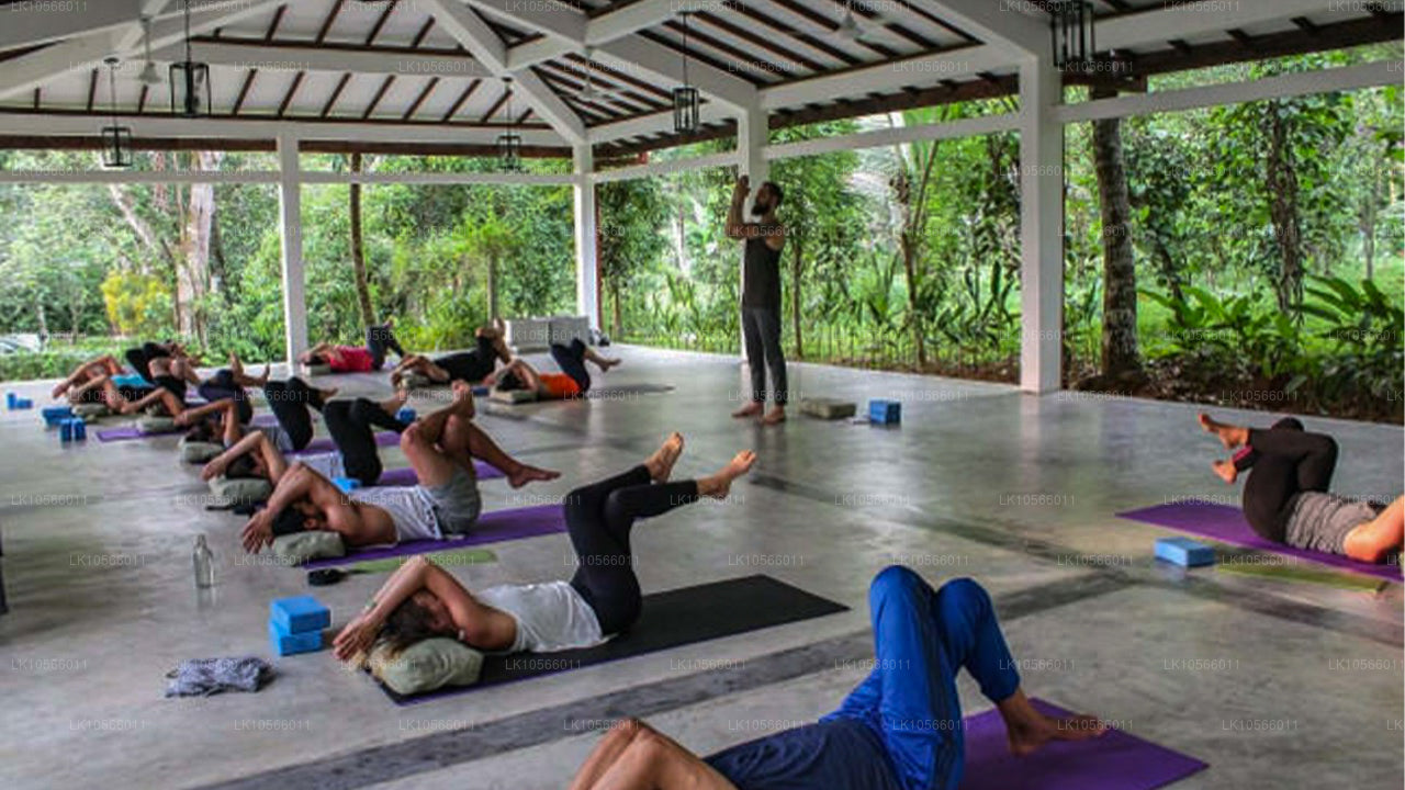 Meditation og Yoga Tour (5 Dage)