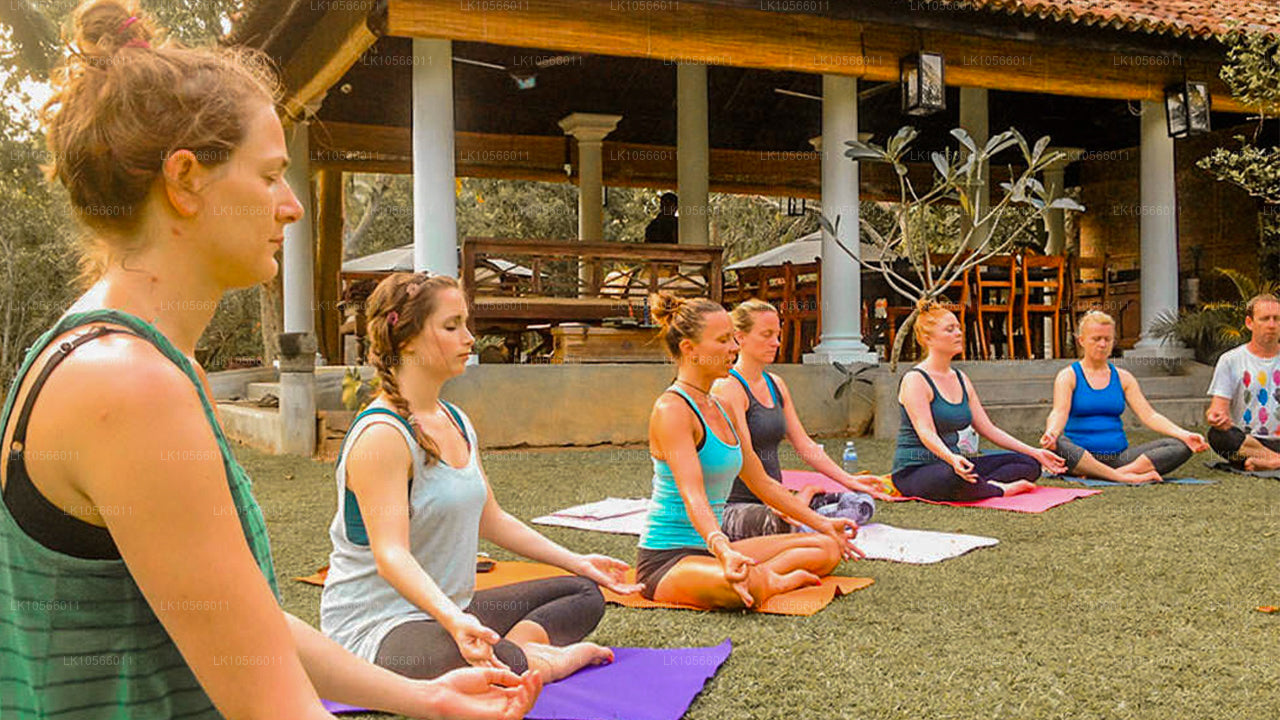 Meditation og Yoga Tour (5 Dage)
