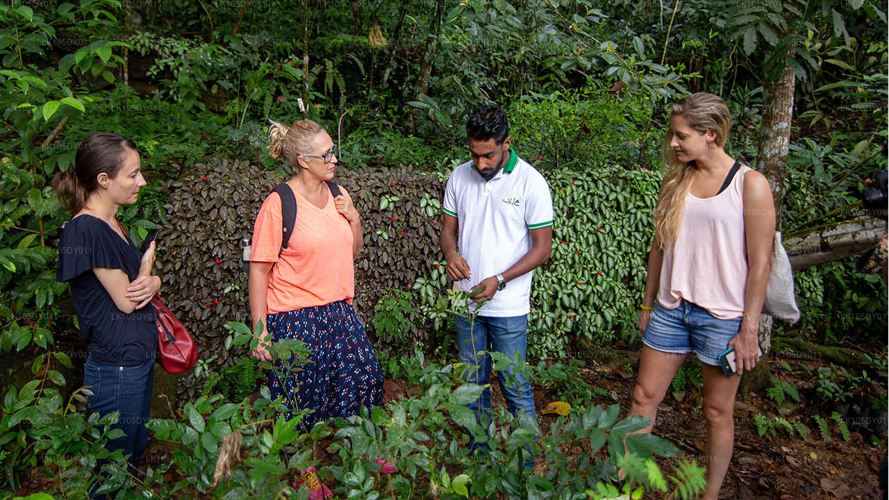 Agrotur i Sri Lanka (6 dage)