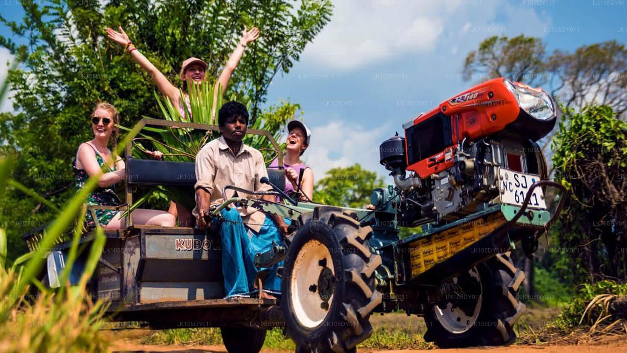 Agrotur i Sri Lanka (6 dage)