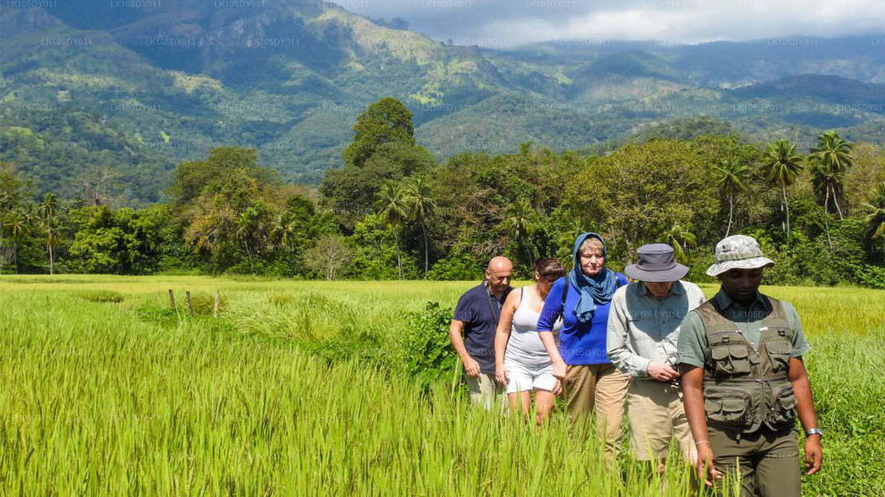 Agrotur i Sri Lanka (6 dage)