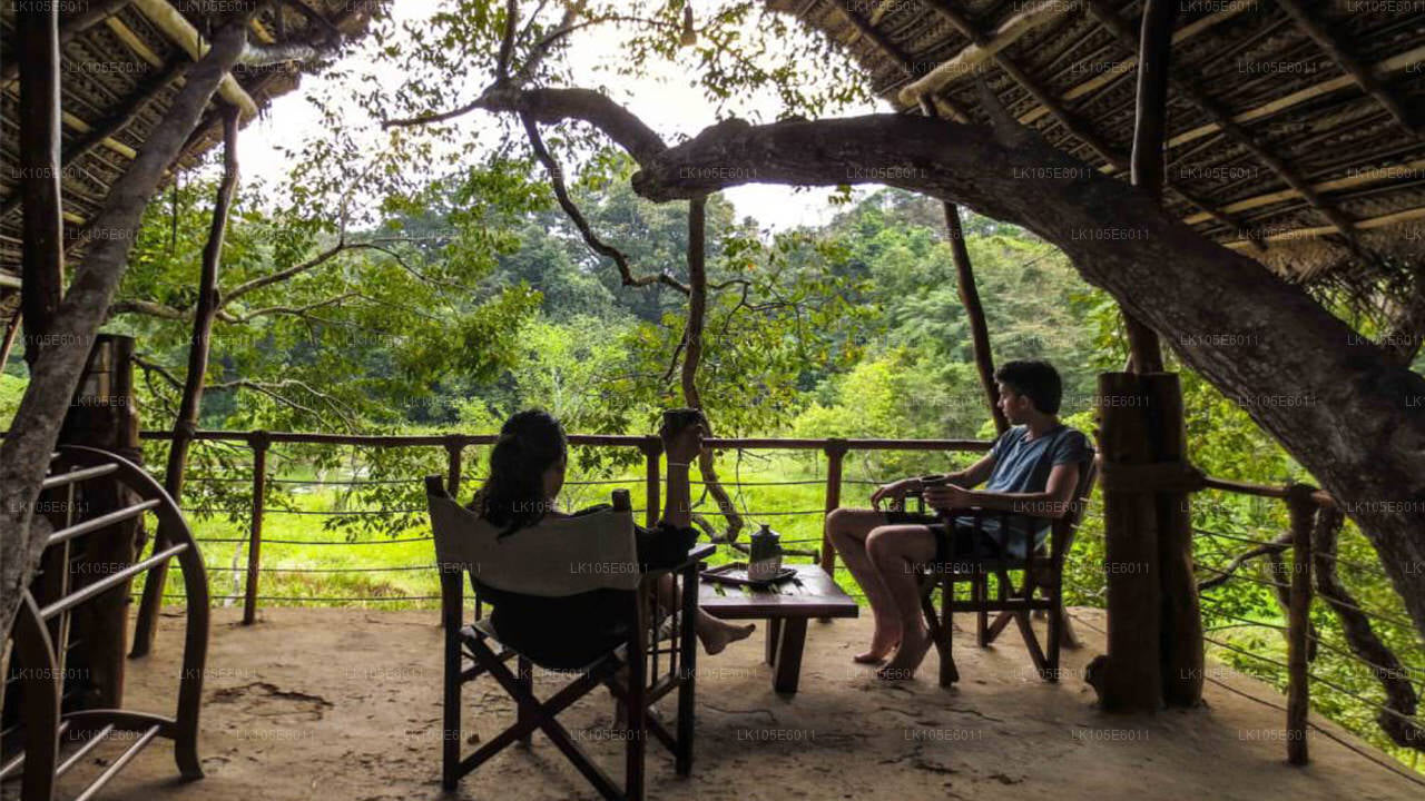 Eco Tours i Sri Lanka (6 Dage)
