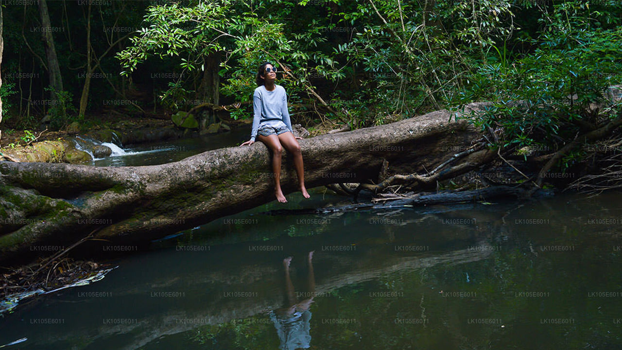 Eco Tours i Sri Lanka (6 Dage)
