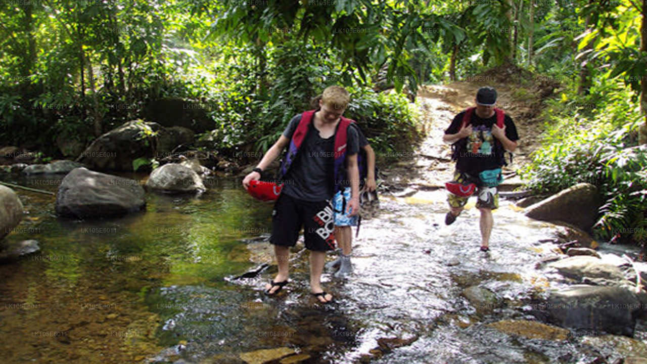 Eco Tours i Sri Lanka (6 Dage)