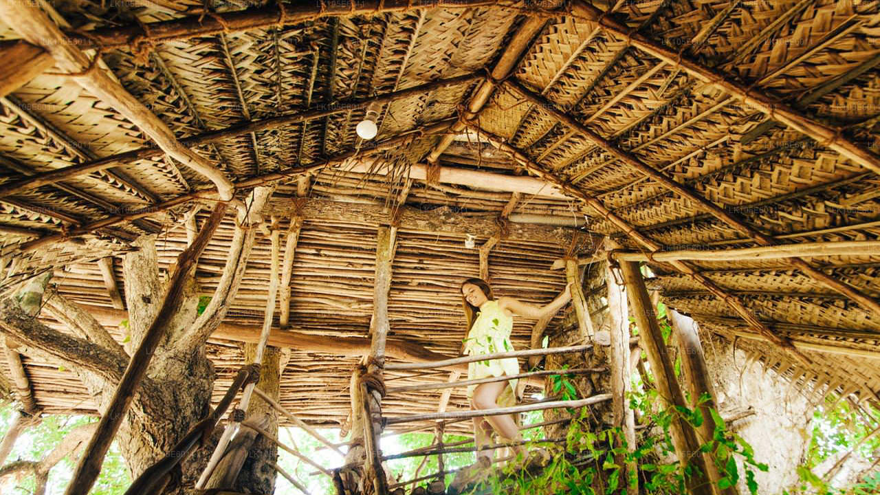 Eco Tours i Sri Lanka (6 Dage)