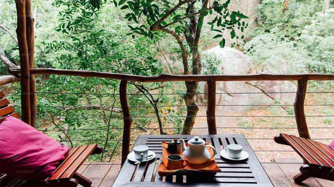 Eco Tours i Sri Lanka (6 Dage)