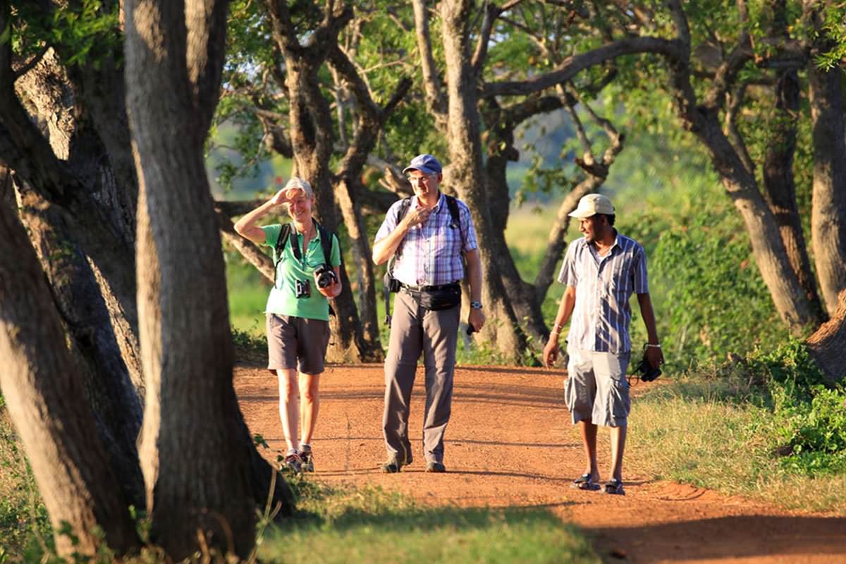 Wildlife Tour Covering Birds and Mammals (6 Days)