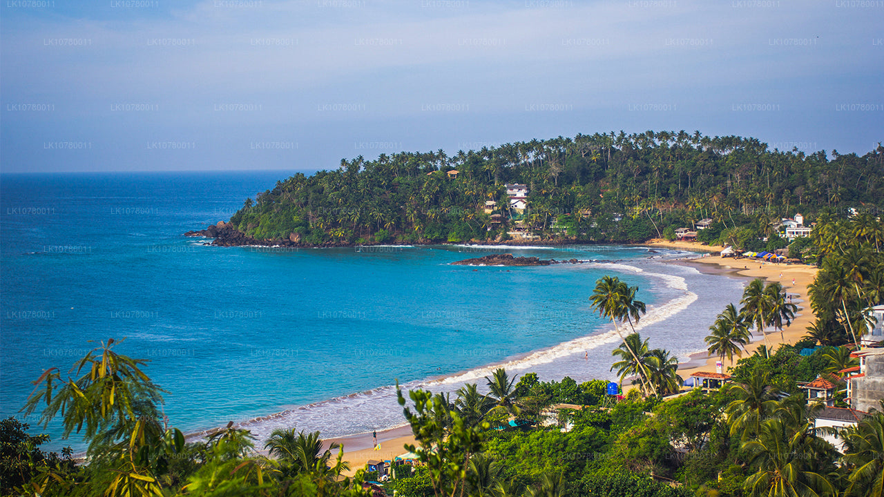 Blanding af kyst og bakker (7 Dage)