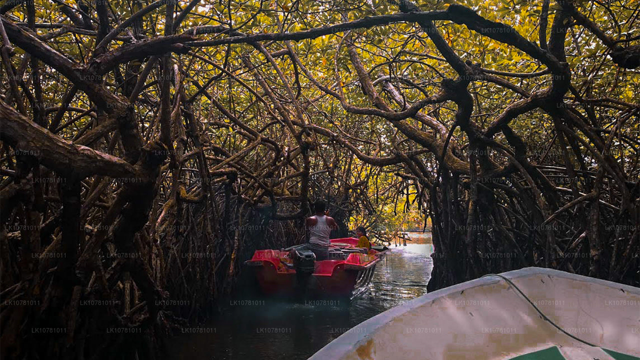 Sydens gyldne kyst (7 Dage)