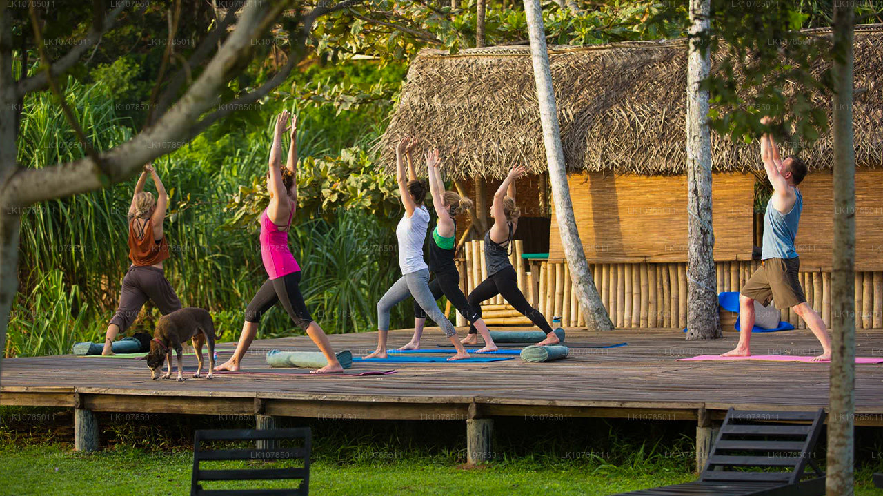 Ayurveda Getaway i Wadduwa (7 Dage)