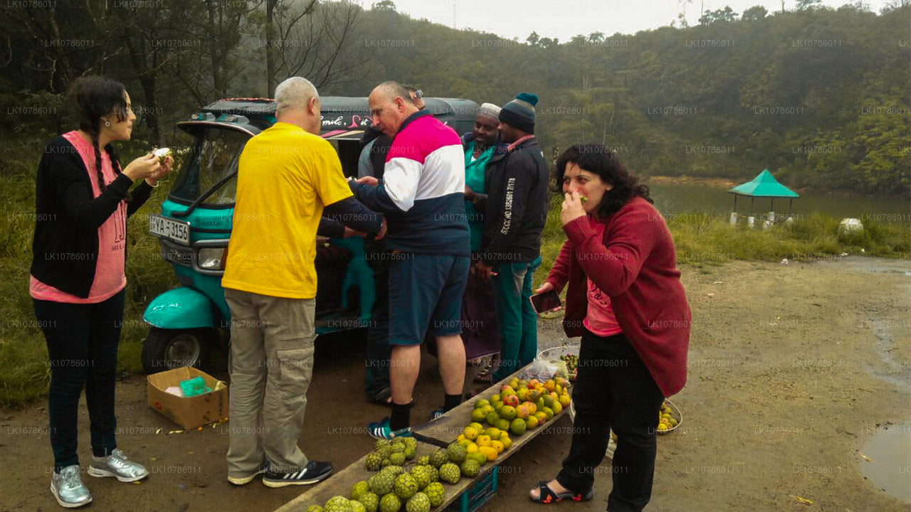 Kultur og kulinarisk ekspedition (7 dage)