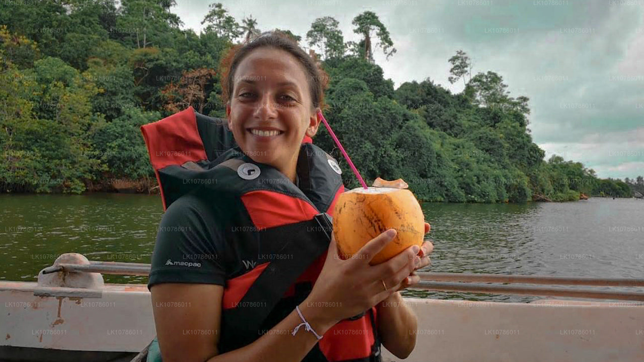 Kultur og kulinarisk ekspedition (7 dage)