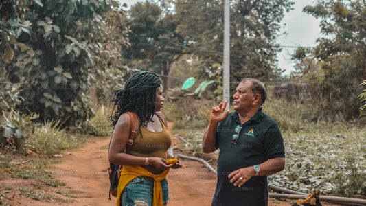 Kultur og kulinarisk ekspedition (7 dage)