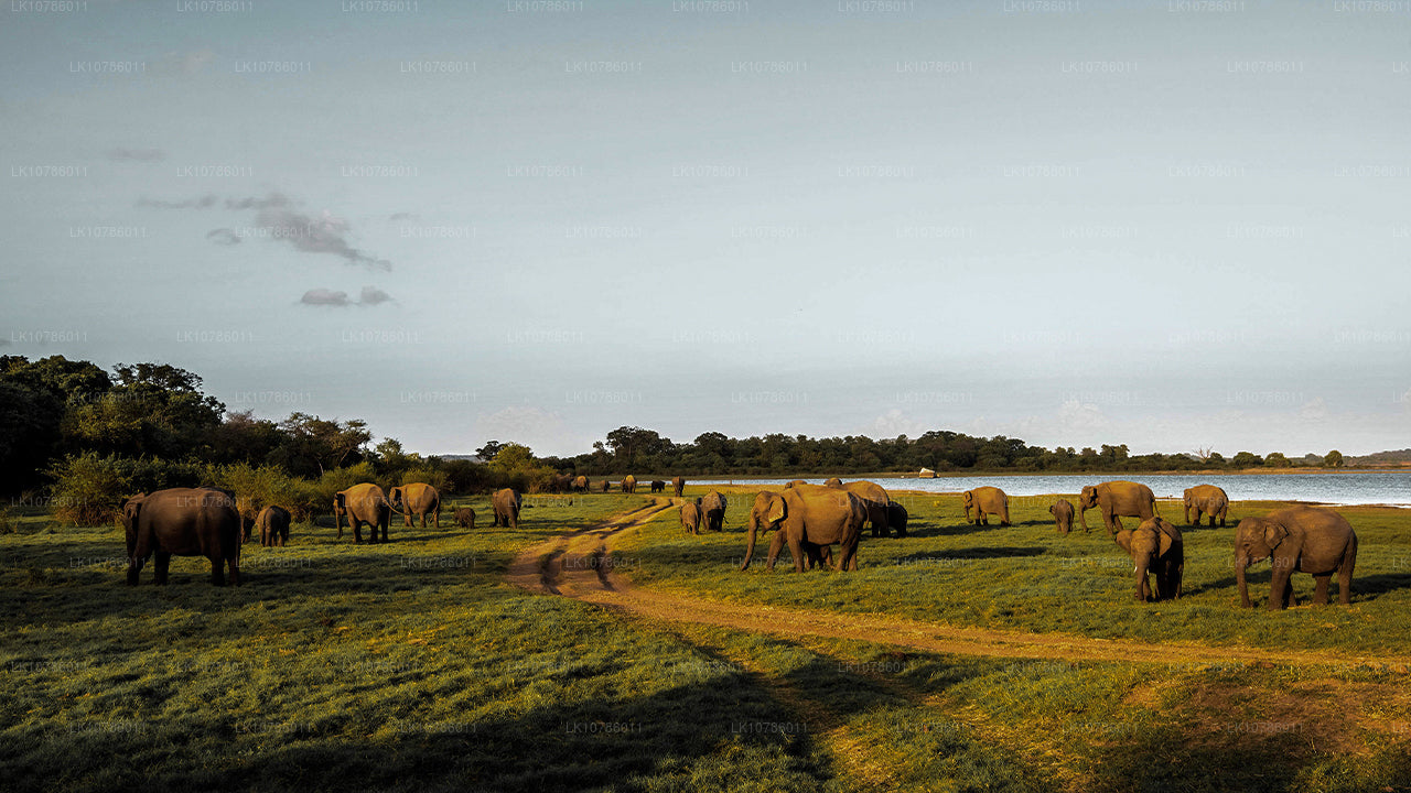 Kultur og kulinarisk ekspedition (7 dage)