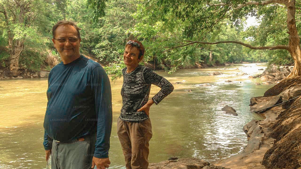 Vilde vidundere (8 dage)