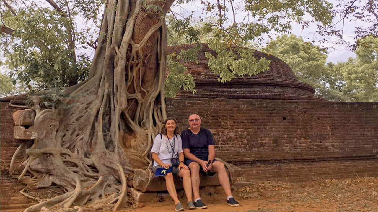 Geoffrey Bawa-indtryk (8 dage)