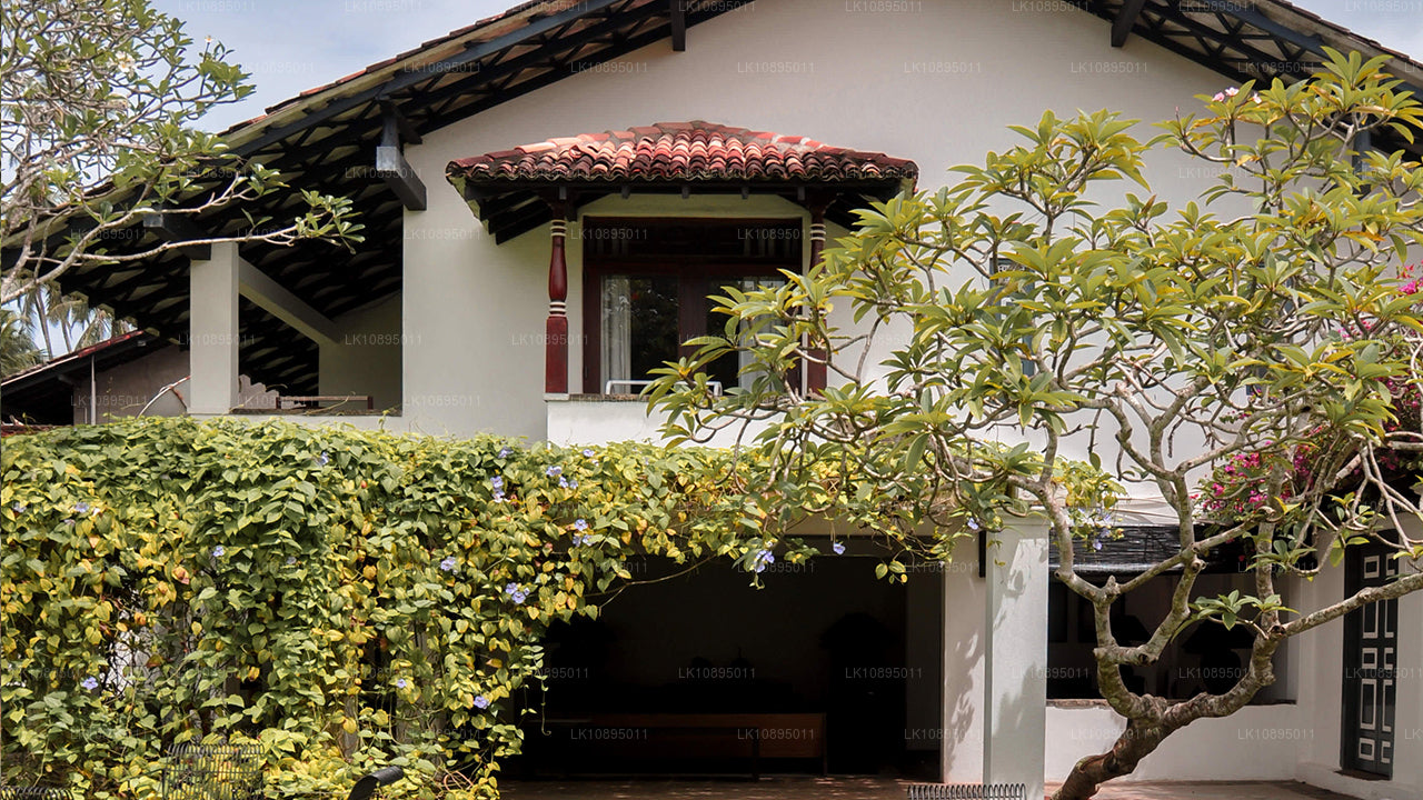 Geoffrey Bawa-indtryk (8 dage)