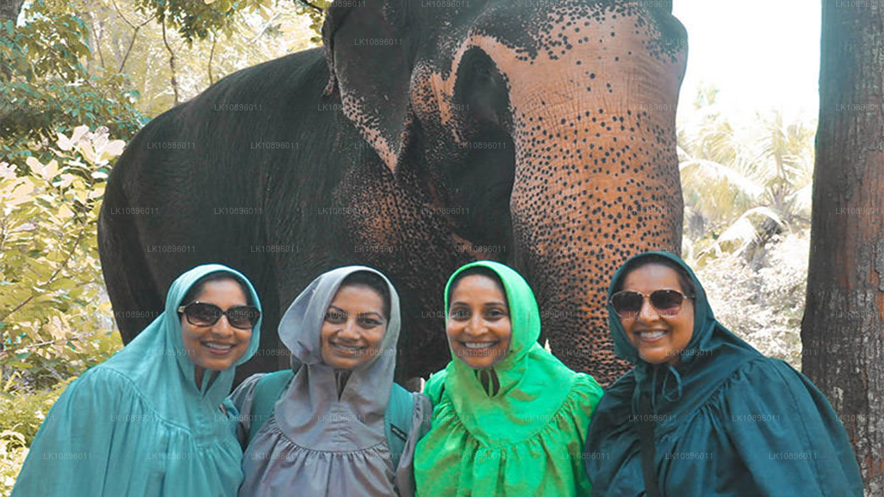 Coast and Hills (8 Dage)