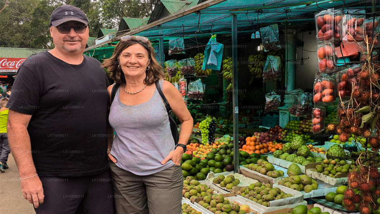 Coast and Hills (8 Dage)