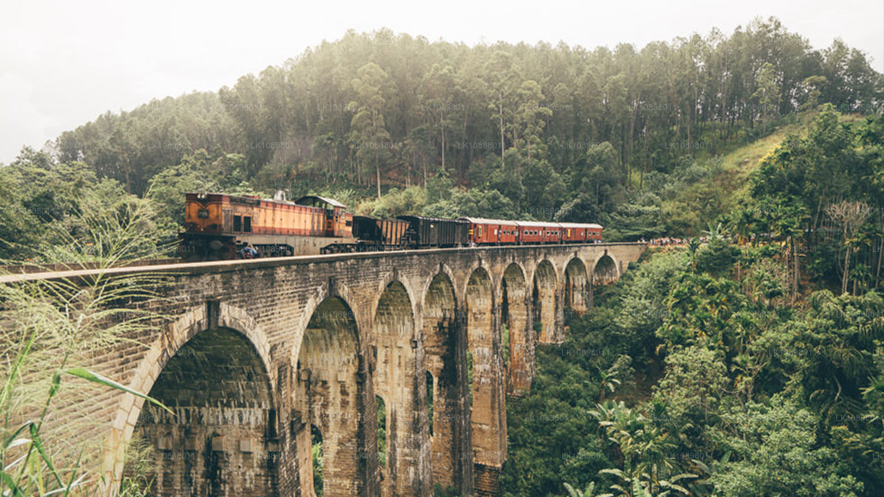 Oplev Serendib med tog (8 dage)