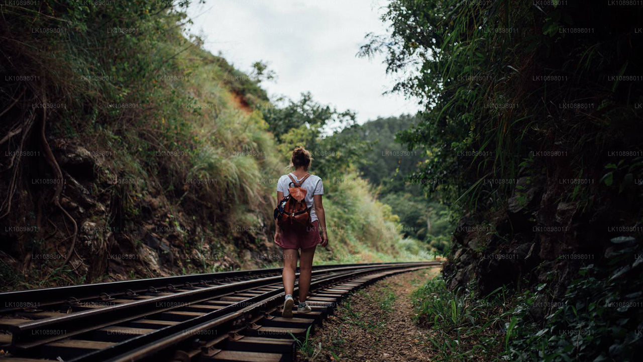 Oplev Serendib med tog (8 dage)