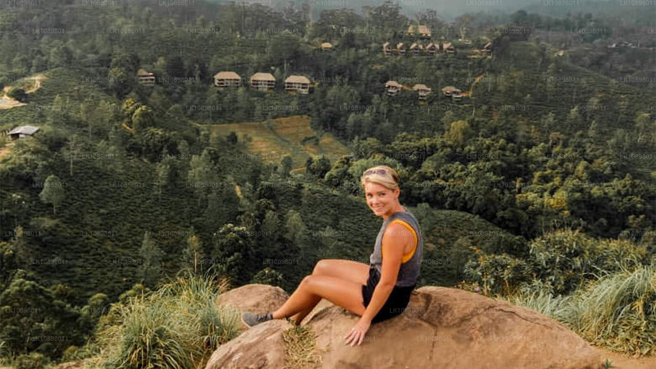 Oplev Serendib med tog (8 dage)